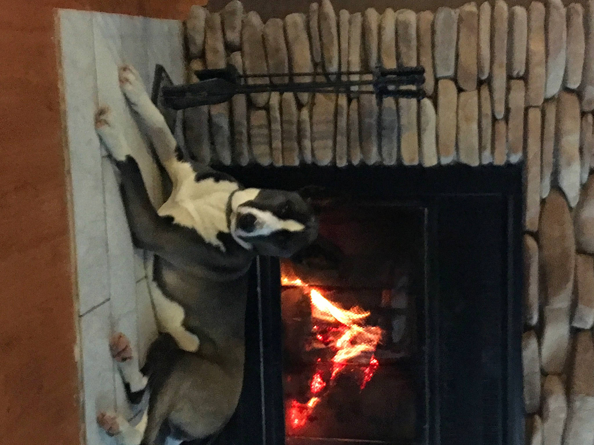 Becca joined the competition — help win amazing prizes! fire, fire_screen, fireplace, flame, gas, hearth, heat, stove, wood_burning_stove