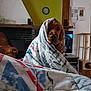 dog, blanket, living_room, clock, television, furniture, wood, cat_tree, brown_dog, cozy, indoor, pet, wrapped, fabric, comfort, home, sitting, curtains, relaxed, domestic