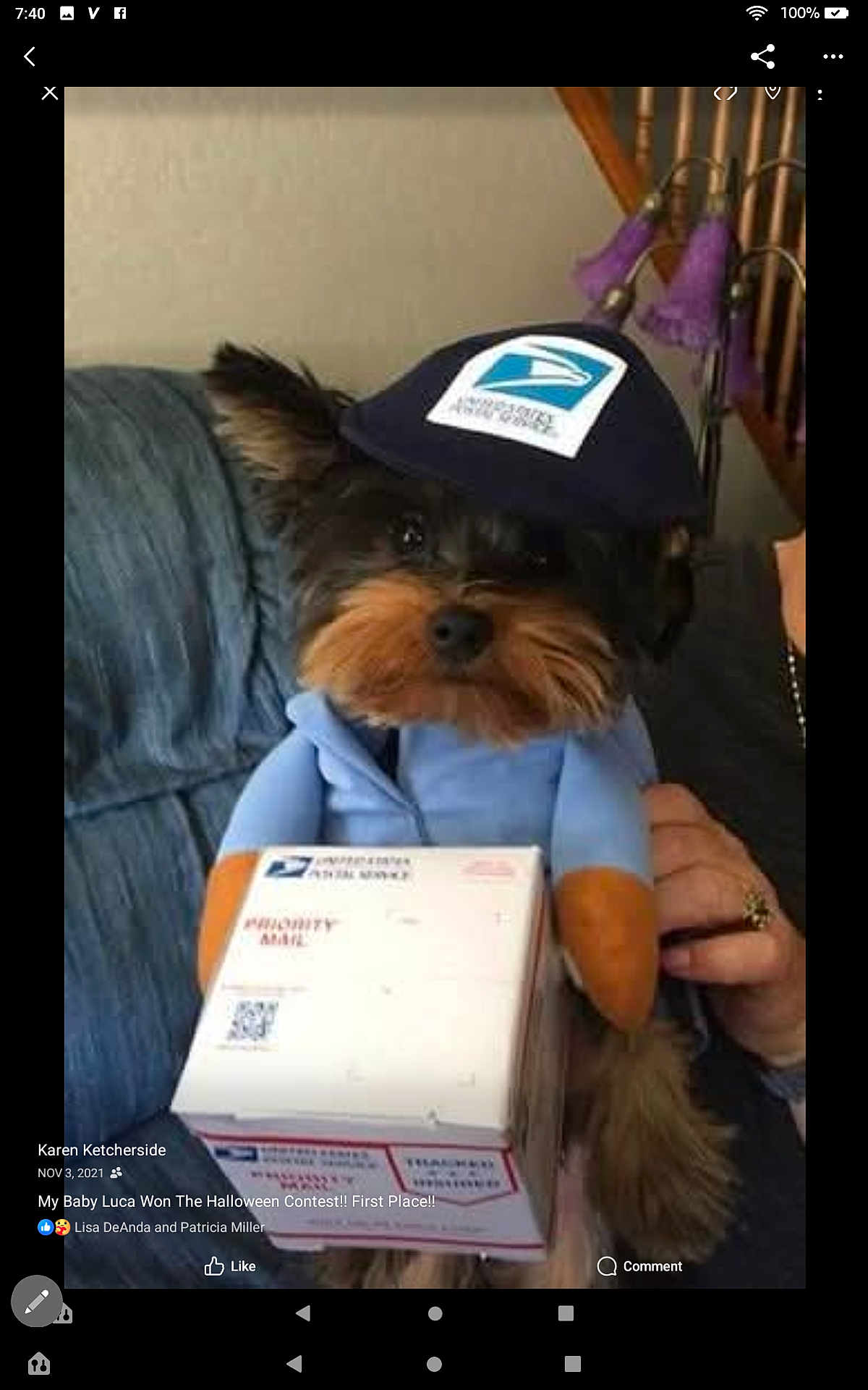 Litte Luca is registered to the contest to win money with this photo: dog, puppy, costume, postal_worker, hat, box, priority_mail, uniform, couch, indoor, pet, small_dog, brown_fur, black_fur, cute, hand, furniture, stairs, lamp, home