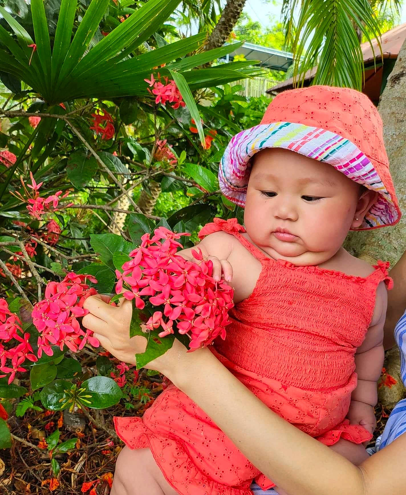 Cece joined the competition — help win amazing prizes! baby, baby_toddler_clothing, botany, cap, flower, flowering_plant, grass, green, happy, hat, headwear, magenta, people_in_nature, person, petal, pink, plant, red, shrub, terrestrial_plant