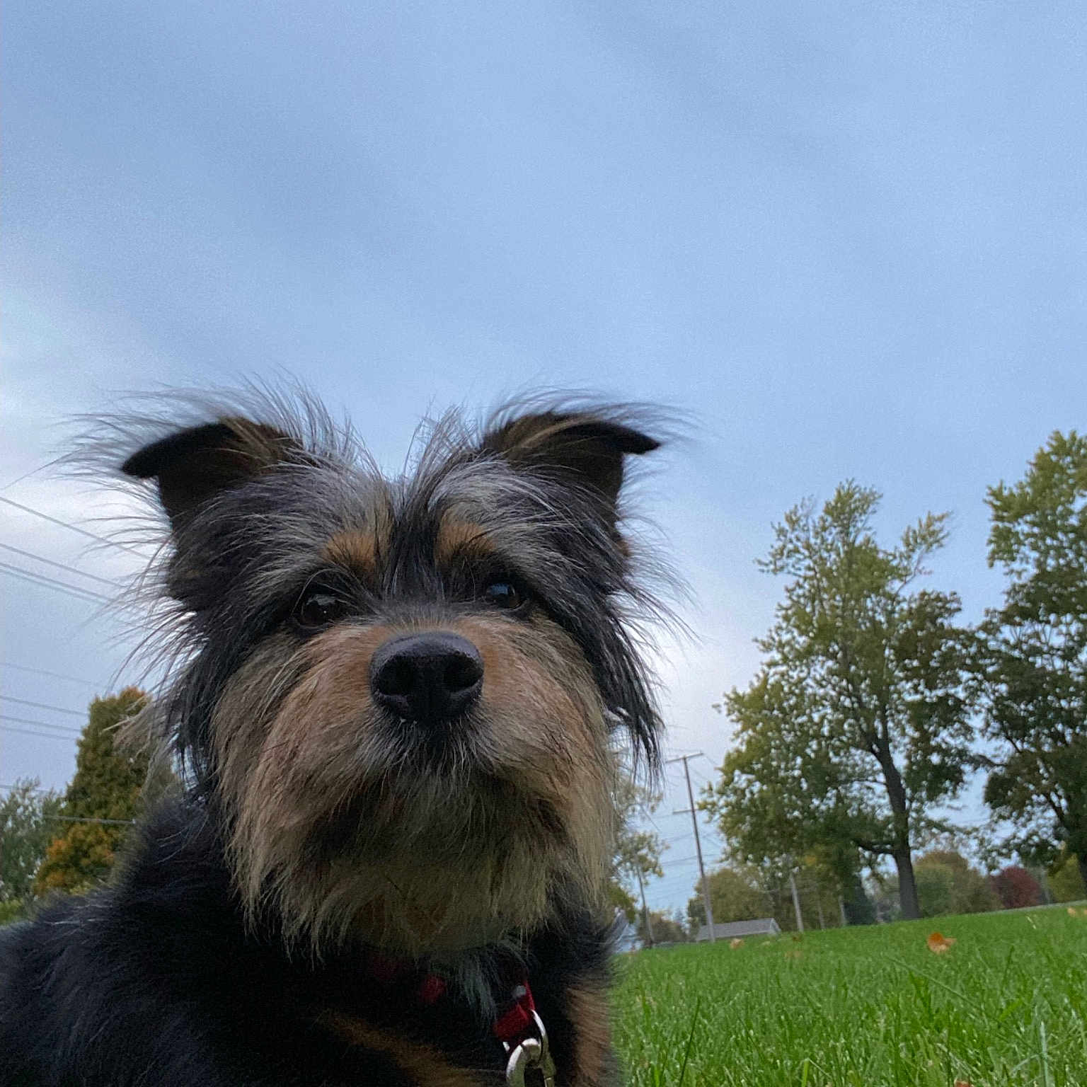 Angel