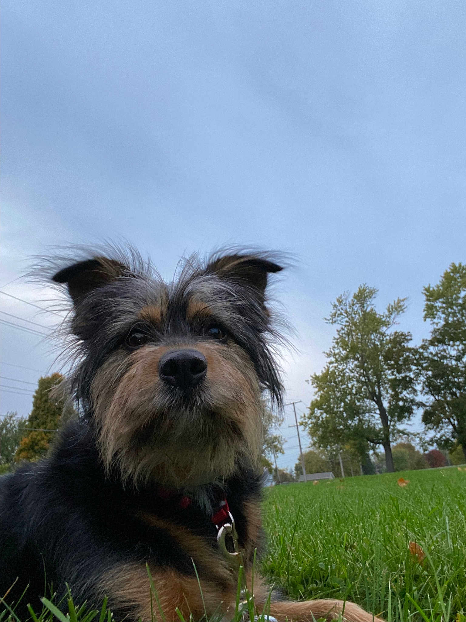 Angel