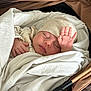 Niya participe au concours pour gagner de l'argent avec cette photo : baby, newborn, sleeping, blanket, hat, hand, face, stroller, cozy, wrapped, infant, soft, peaceful, cute, child, resting, warm, tiny, closeup, portrait