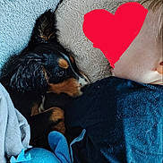 Puppy participe au concours pour gagner de l'argent avec cette photo : puppy, child, blanket, plush_toy, snuggling, cozy, indoor, soft_texture, blue, black, brown, fur, clothing, resting, cute, side_view, comfort, young, sleeping, animal