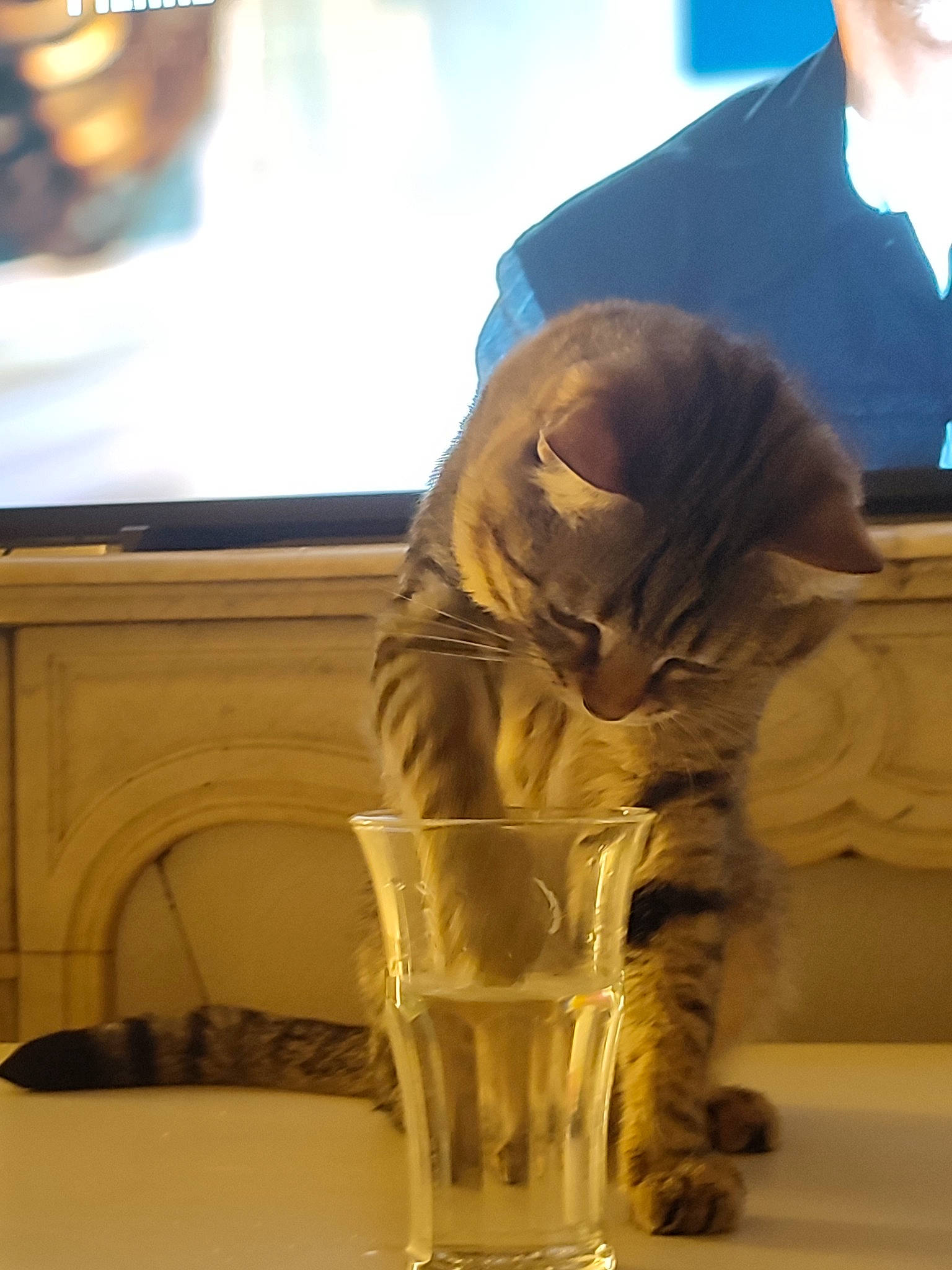 Symba participe au concours pour gagner de l'argent avec cette photo : art, artifact, comfort, drink, drinkware, flooring, fun, glass, human_leg, leisure, room, sitting, standing, transparent_material, visual_arts, wood