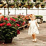 Diem is registered to the contest to win money with this photo: child, girl, flower_pot, greenhouse, flowers, running, bow, dress, sandals, plants, nature, smile, happy, outdoor, young_child, colorful, petals, foliage, sunlight, concrete_floor