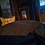 Rufus is registered to the contest to win money with this photo: cat, blanket, bed, mirror, person, reflection, room, television, furniture, wood, door, cabinet, indoor, domestic, curious, pet, animal, cozy, dim_light, relaxed