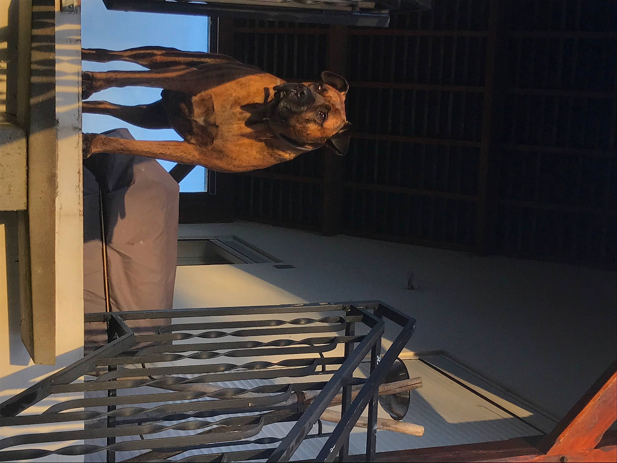 Louko participe au concours pour gagner de l'argent avec cette photo : art, building, darkness, daylighting, event, facade, metal, night, room, sculpture, shadow, space, stairs, steel, visual_arts, wood