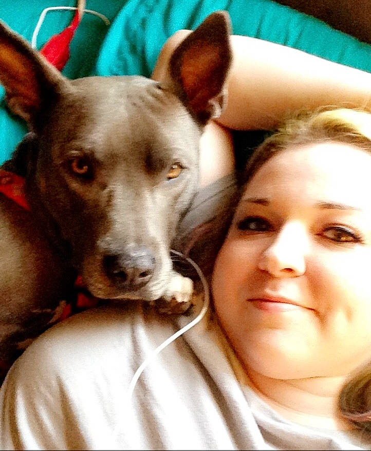 Diamond is registered to the contest to win money with this photo: ancient_dog_breeds, canidae, carnivore, comfort, companion_dog, dog, dog_breed, ear, fawn, happy, non_sporting_group, selfie, sitting, snout, sporting_group, whiskers, working_animal