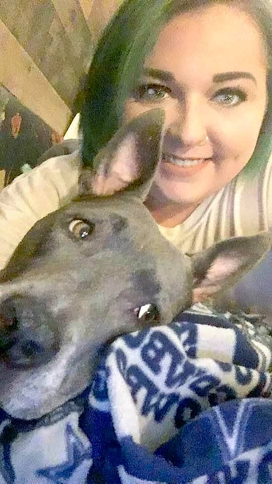 Diamond joined the competition — help win amazing prizes! canidae, carnivore, companion_dog, cool, dog, dog_breed, ear, fashion_accessory, fawn, fun, fur, happy, jaw, non_sporting_group, pattern, recreation, selfie, smile, snout, working_animal