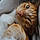 Romeo