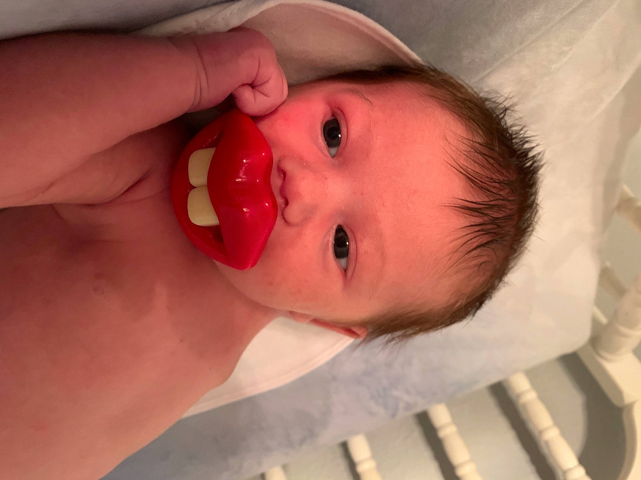 Mindy is registered to the contest to win money with this photo: arm, baby, cheek, dress, ear, eye, eyelash, fruit, hair, head, human_body, iris, jaw, lip, mouth, nose, organ, person, pink, plant