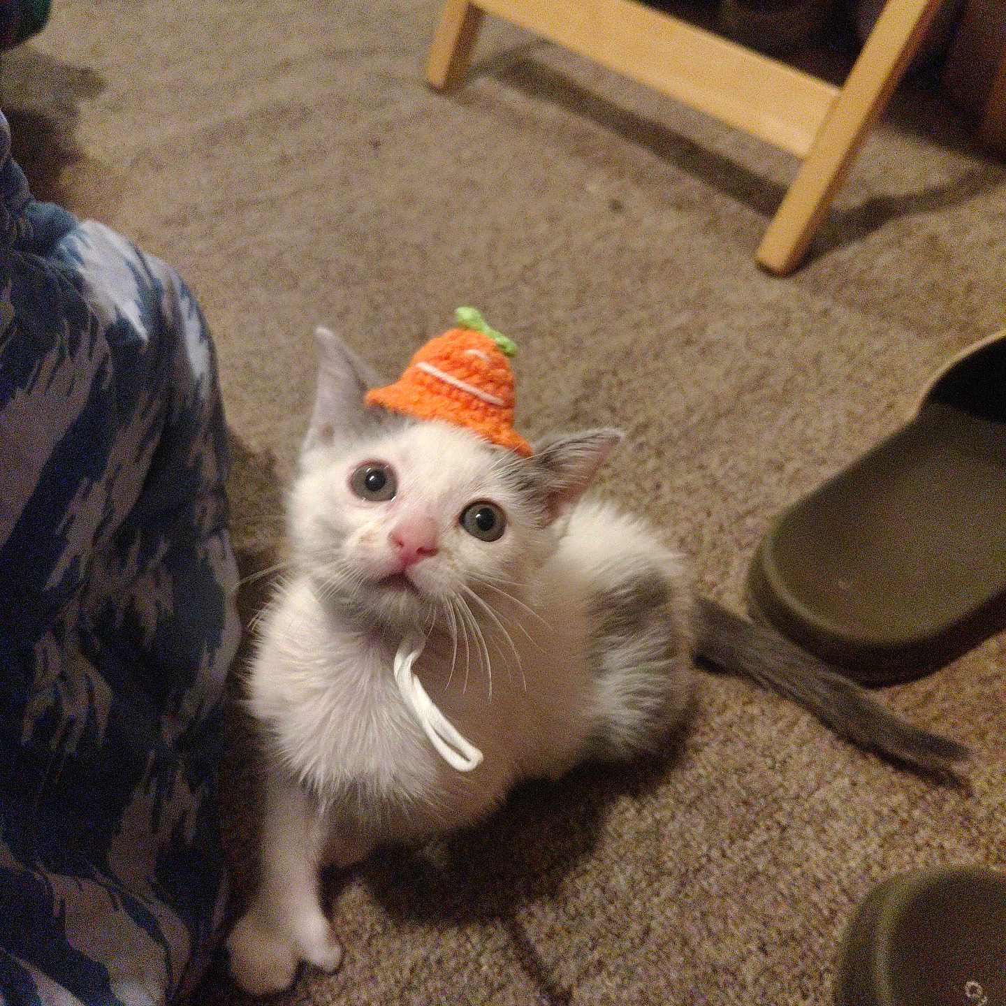 Jude Aka Bb