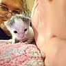 kitten, baby_animal, person, glasses, face, hand, blanket, indoor, closeup, cute, feline, young, pet, cozy, warm, soft, curious, portrait, animal, human