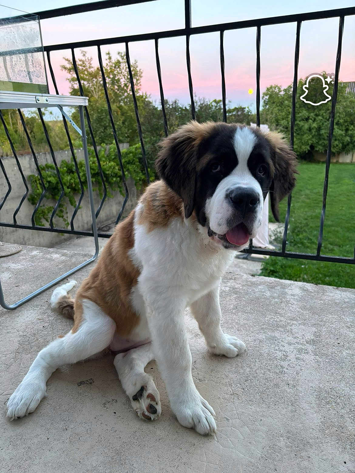 Laïa