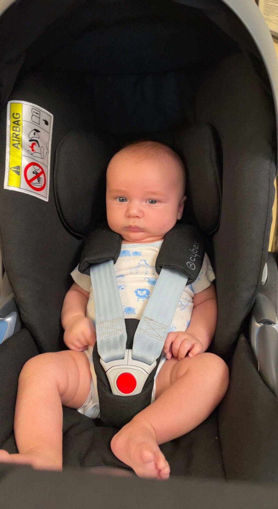 Fabio a rejoint le concours — aidez-le/la à gagner de superbes lots ! arm, auto_part, automotive_design, baby, baby_in_car_seat, car_seat, car_seat_cover, child, comfort, finger, hand, head_restraint, human_leg, knee, motor_vehicle, person, seat_belt, service, thigh, thumb