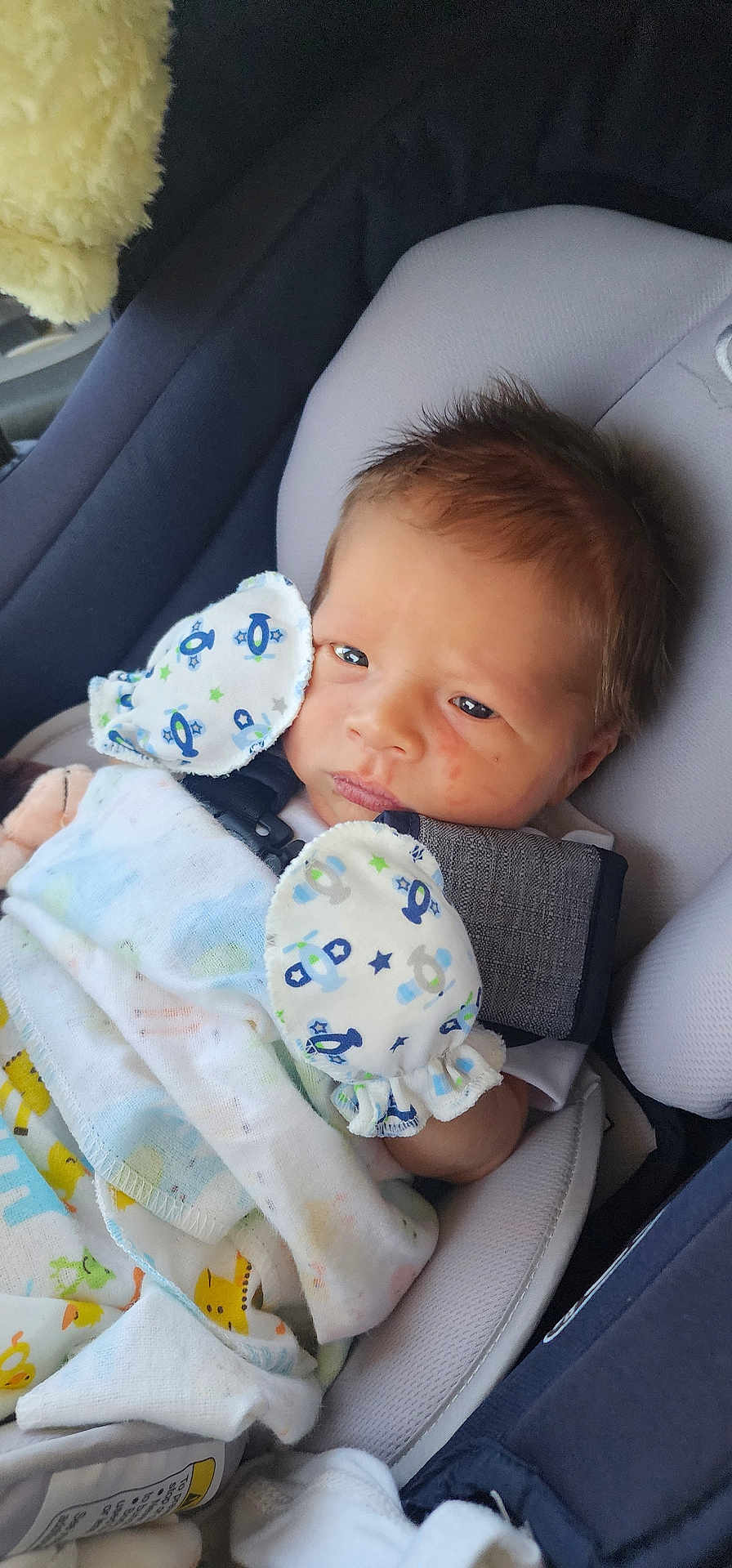 Brayzen is registered to the contest to win money with this photo: infant, baby, car_seat, blanket, mittens, face, person, clothing, child, young, cute, seated, indoors, soft_toys, patterned, comfort, resting, close_up, head, skin