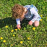 Sabrina is registered to the contest to win money with this photo: child, curly_hair, dandelion, flowers, grass, greenery, outdoor, sunlight, nature, picking, toddler, playing, spring, summer, kneeling, dress, long_sleeves, botanical, field, daytime