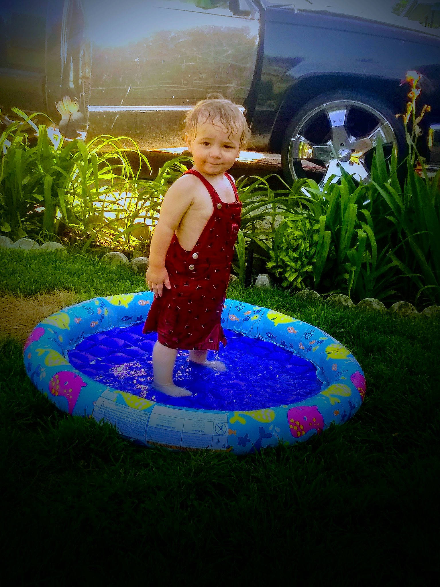 Dallas joined the competition — help win amazing prizes! backyard, child, fun, games, grass, inflatable, joy, leisure, party, person, play, recreation, summer, toddler, trampolining_equipment_and_supplies, vacation, water