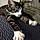 Miaouss