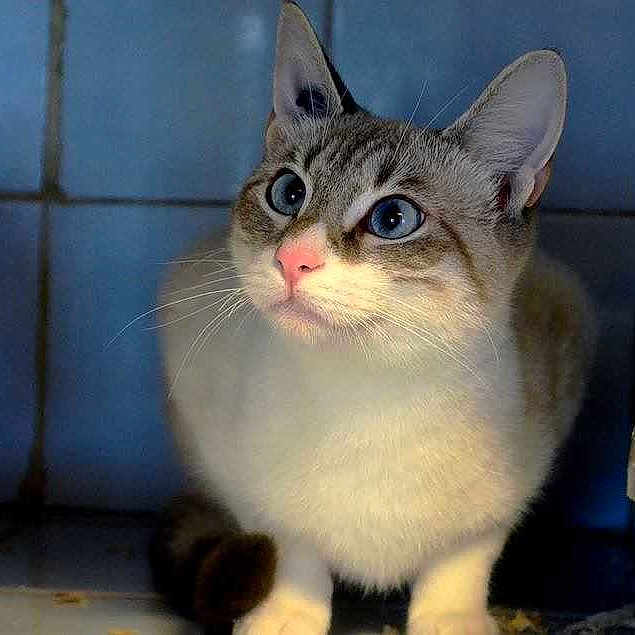 Clochette participe au concours pour gagner de l'argent avec cette photo :