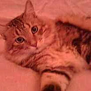 LEO a rejoint le concours — aidez-le/la à gagner de superbes lots !