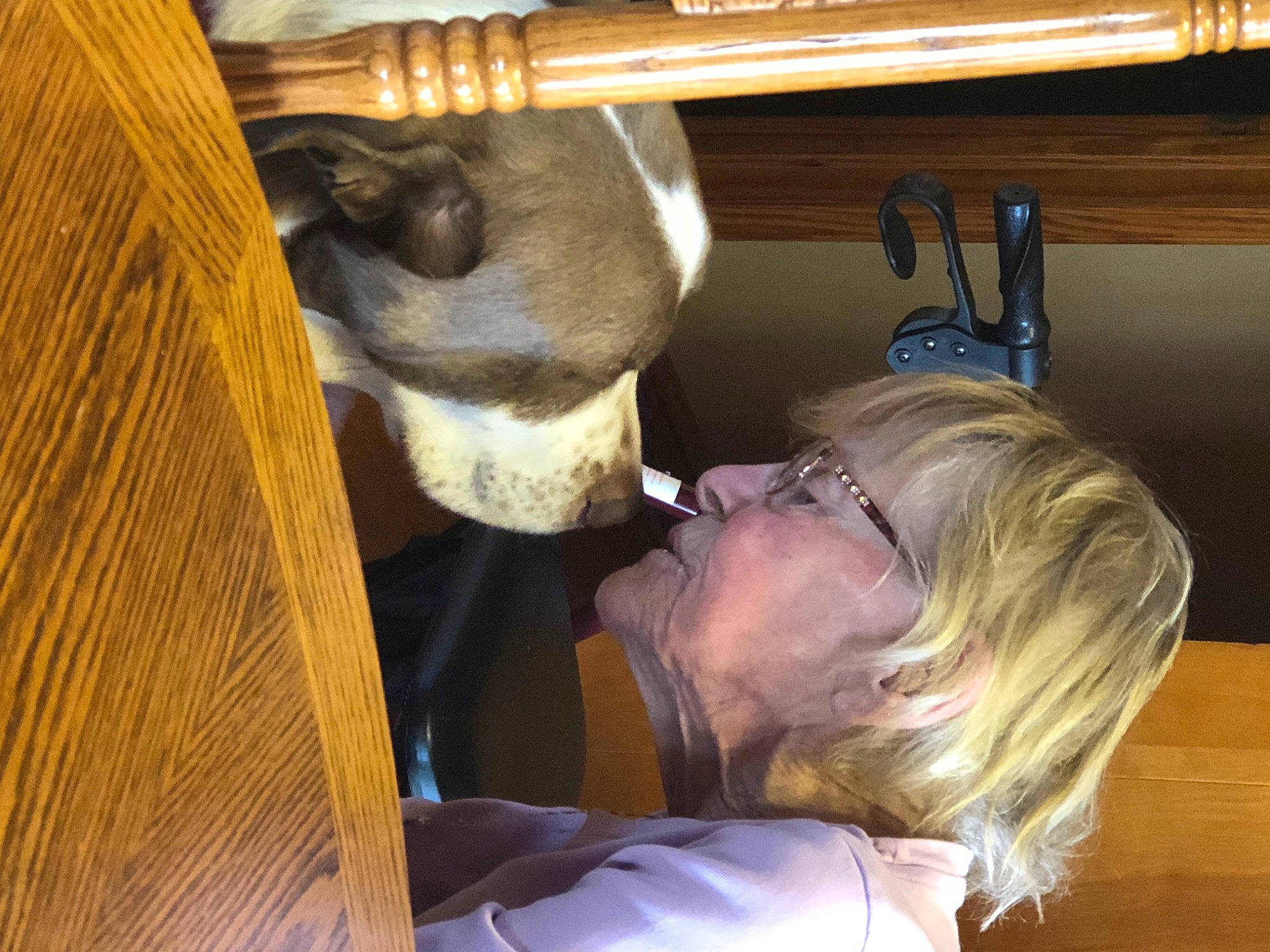 Trigger And Toby joined the competition — help win amazing prizes! comfort, dairy, ear, fawn, fur, livestock, natural_material, wood, working_animal