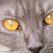 Teou a rejoint le concours — aidez-le/la à gagner de superbes lots !