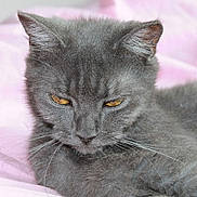 Téou a rejoint le concours — aidez-le/la à gagner de superbes lots !