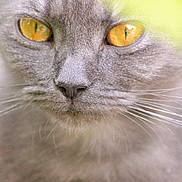 Teou participe au concours pour gagner de l'argent avec cette photo :