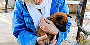 Asia participe au concours pour gagner de l'argent avec cette photo : puppy, dog, person, denim_jacket, scarf, outdoor, sunglasses, pet, holding, caring, casual, concrete, steps, tree, sunlight, jeans, blond_hair, cute, animal, affection