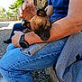 Asia participe au concours pour gagner de l'argent avec cette photo : puppy, person, outdoor, jeans, watch, watching, sitting, sunlight, stone_wall, greenery, casual, relaxing, sleeping, pet, hand, nature, watchstrap, blue_shirt, watching_person, gravel