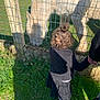 Juliette a rejoint le concours — aidez-le/la à gagner de superbes lots ! child, toddler, curly_hair, black_clothing, holding_hand, horse, white_horse, fence, grass, outdoor, sunny, shadow, animal, person, nature, daylight, pasture, grazing, rural, petting_zoo