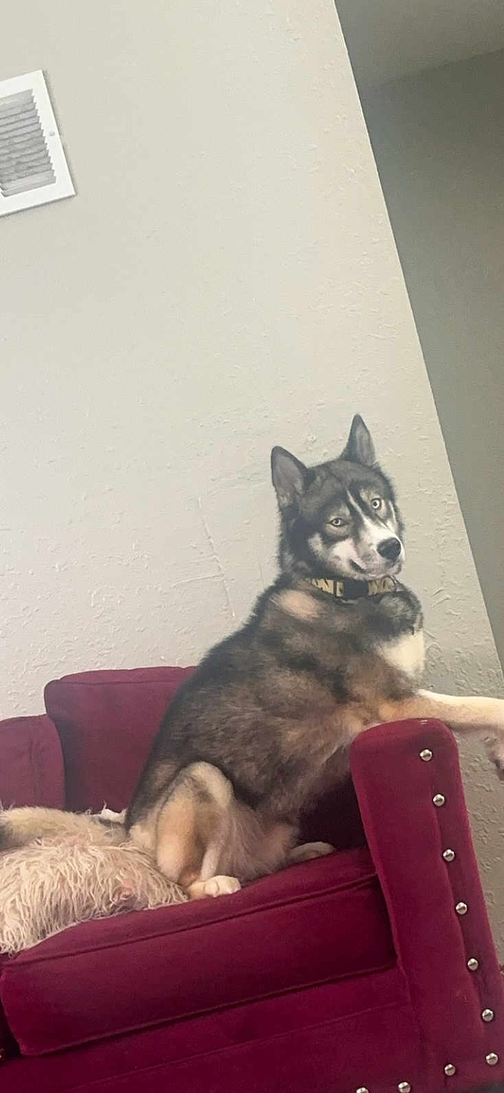 Thor