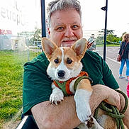 Bridget a rejoint le concours — aidez-le/la à gagner de superbes lots ! bus_stop, casual, corgi, cute, daytime, dog, glass_wall, green_shirt, happy, holding, leash, man, outdoor, people, person, pet, puppy, sidewalk, smiling, trees