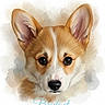 dog, corgi, puppy, portrait, watercolor, painting, ears, face, animal, pet, cute, art, illustration, fluffy, fur, expression, adorable, head, brown, white