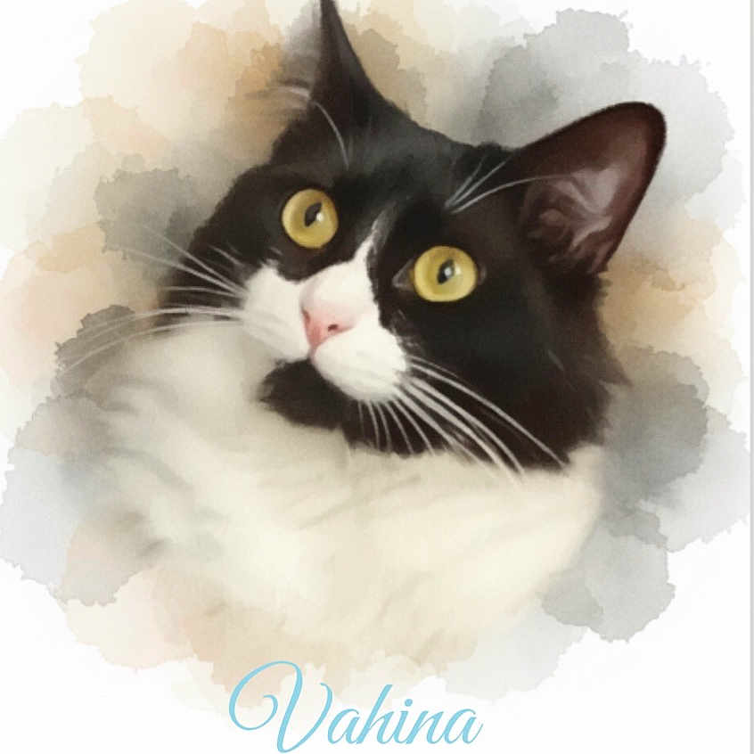 Vahina participe au concours pour gagner de l'argent avec cette photo : cat, black_and_white, yellow_eyes, portrait, watercolor_effect, artistic, pet, animal, close_up, face, whiskers, fur, pink_nose, curious, soft_background, pastel_colors, text_overlay, sentimental, cursive_text, france