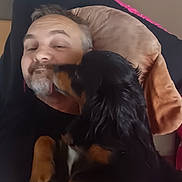 Pala participe au concours pour gagner de l'argent avec cette photo : affection, animal, black_dog, brown_dog, casual, closeup, comfort, cuddle, dog, face, facial_hair, friendship, human, indoor, love, lying_down, man, pet, pillow, relaxation