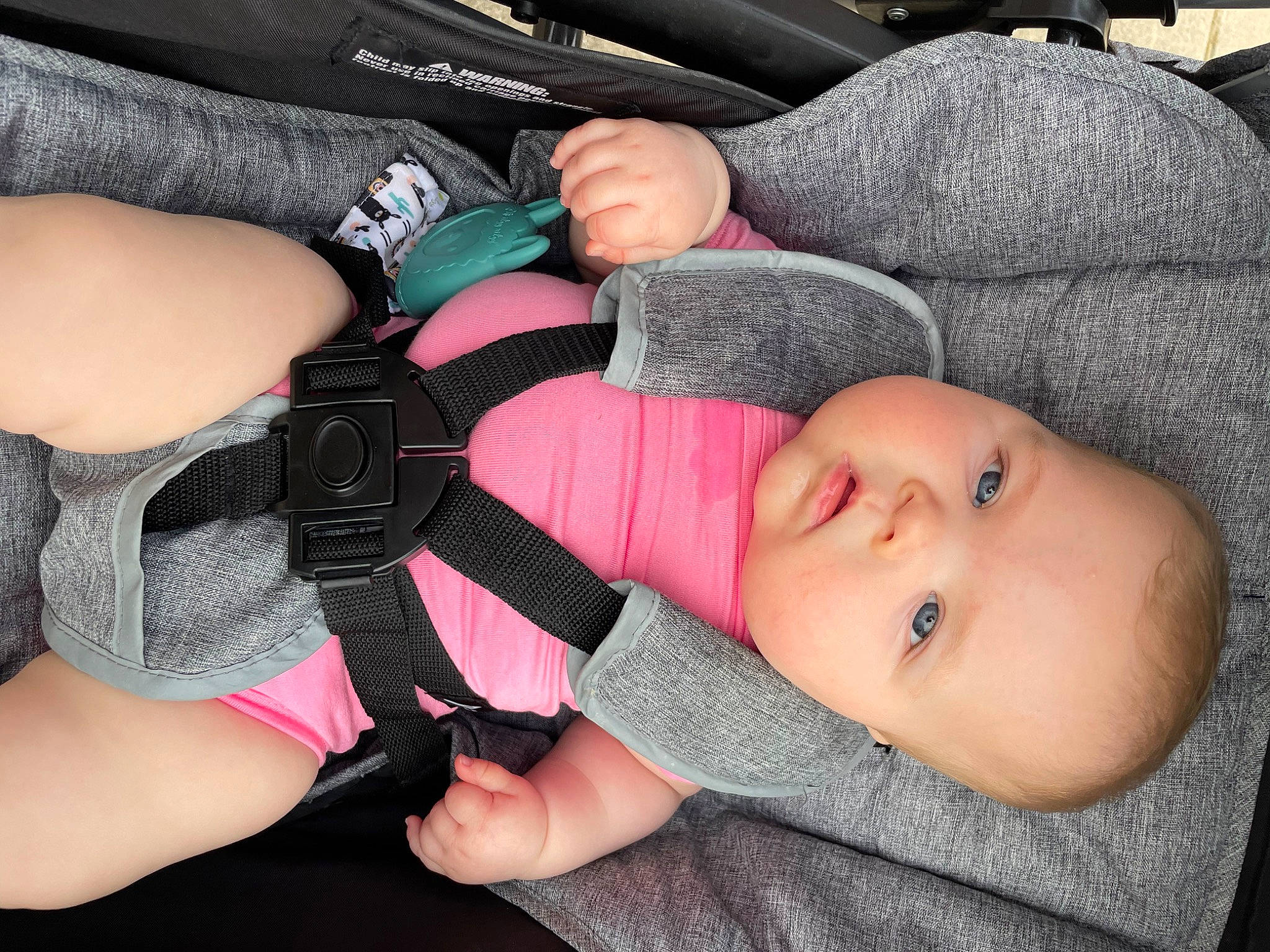 Savanna joined the competition — help win amazing prizes! baby, baby_toddler_clothing, cheek, chest, comfort, elbow, gesture, human_leg, knee, lap, mammal, mouth, nail, person, skin, textile, thigh, thumb, toddler, vertebrate