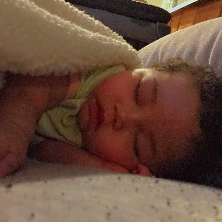 Xenia joined the competition — help win amazing prizes! baby, bed, bed_sheet, bedding, bedtime, blanket, child, comfort, flooring, fur, linens, mammal, nap, nose, room, sleep, toddler, wood