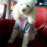 Lola Brocal participe au concours pour gagner de l'argent avec cette photo :