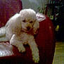 Lola Brocal participe au concours pour gagner de l'argent avec cette photo :