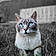 Boo-Niette