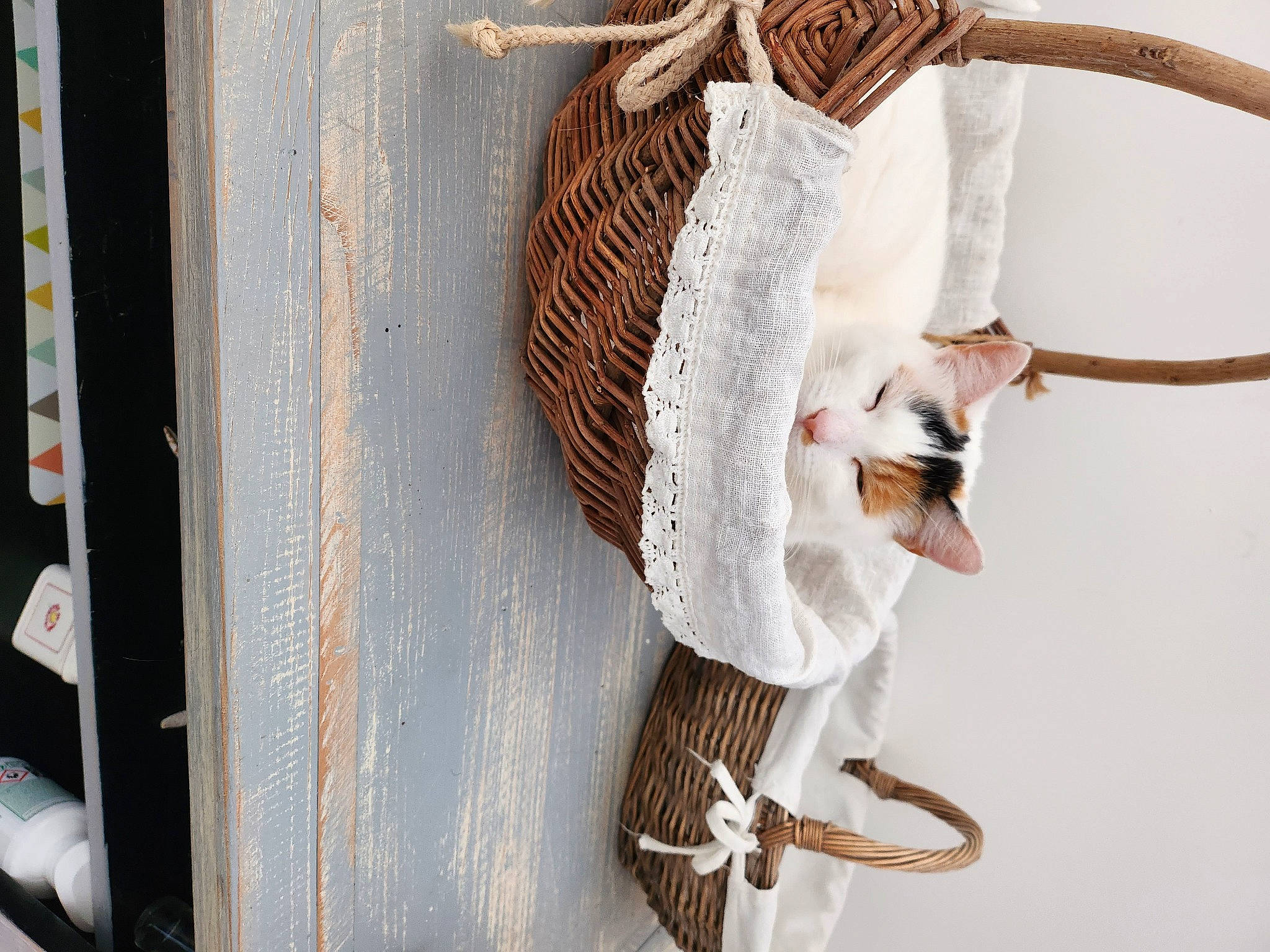 Pearl a rejoint le concours — aidez-le/la à gagner de superbes lots ! art, basket, ceiling, fashion_accessory, fashion_design, feather, fur, headgear, jewellery, knot, metal, natural_material, ornament, pattern, rope, tail, twig, wire, wood, wool