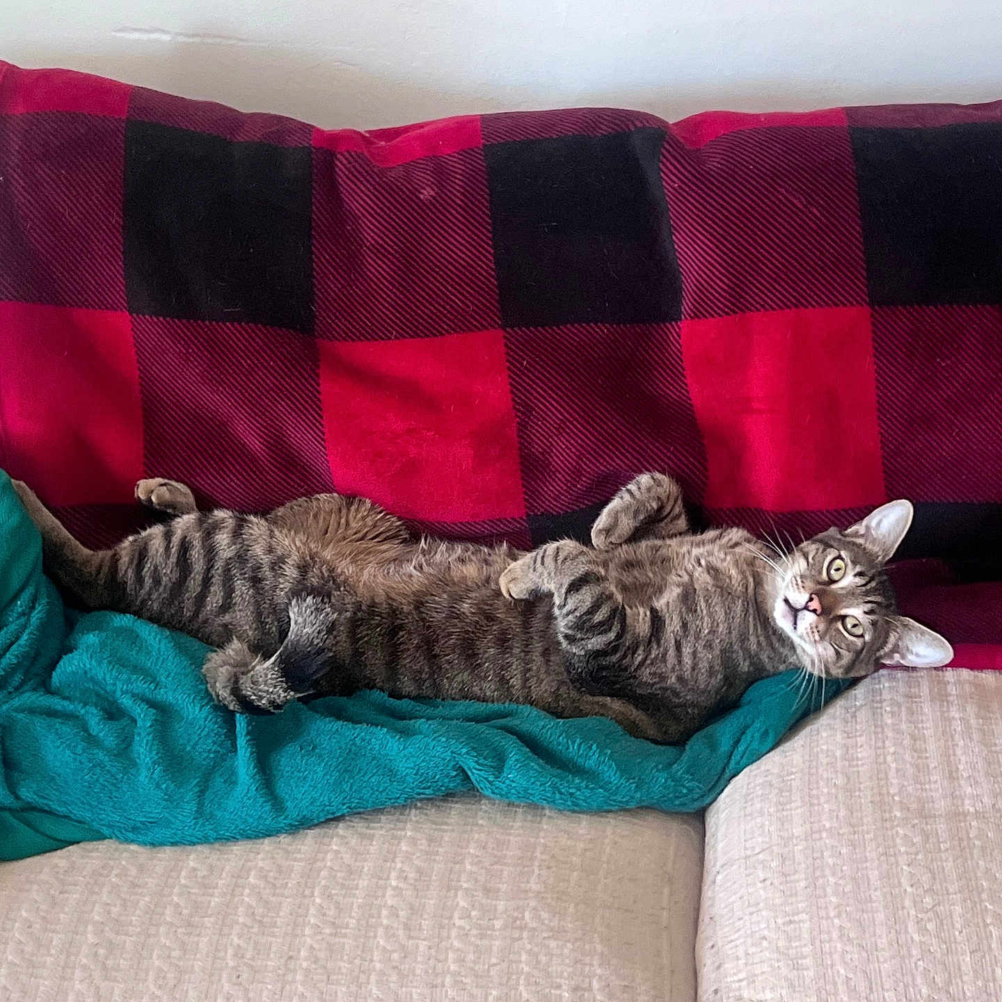 Jasper