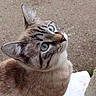 Pepette participe au concours pour gagner de l'argent avec cette photo :