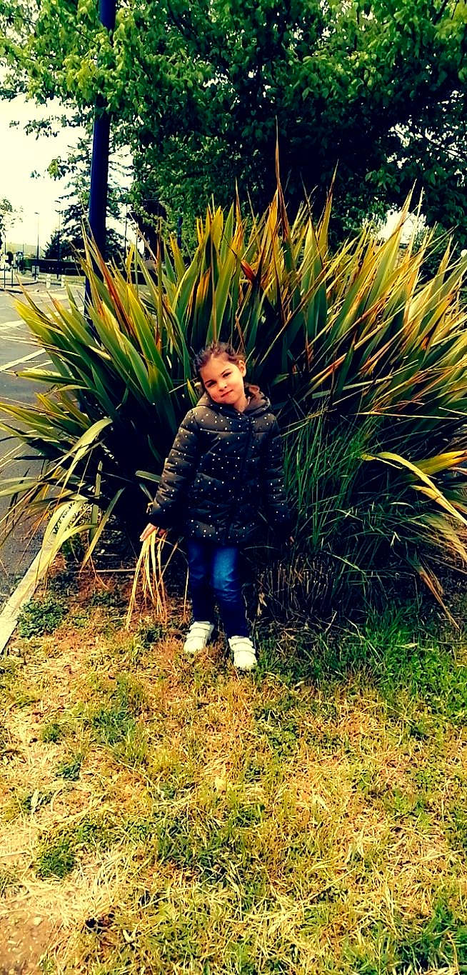 Mylla a rejoint le concours — aidez-le/la à gagner de superbes lots ! arecales, ball, botany, electric_blue, fun, grass, grass_family, joy, landscape, leaf, nature, people_in_nature, person, plant, shrub, sunlight, terrestrial_plant, tints_and_shades, toddler, tree