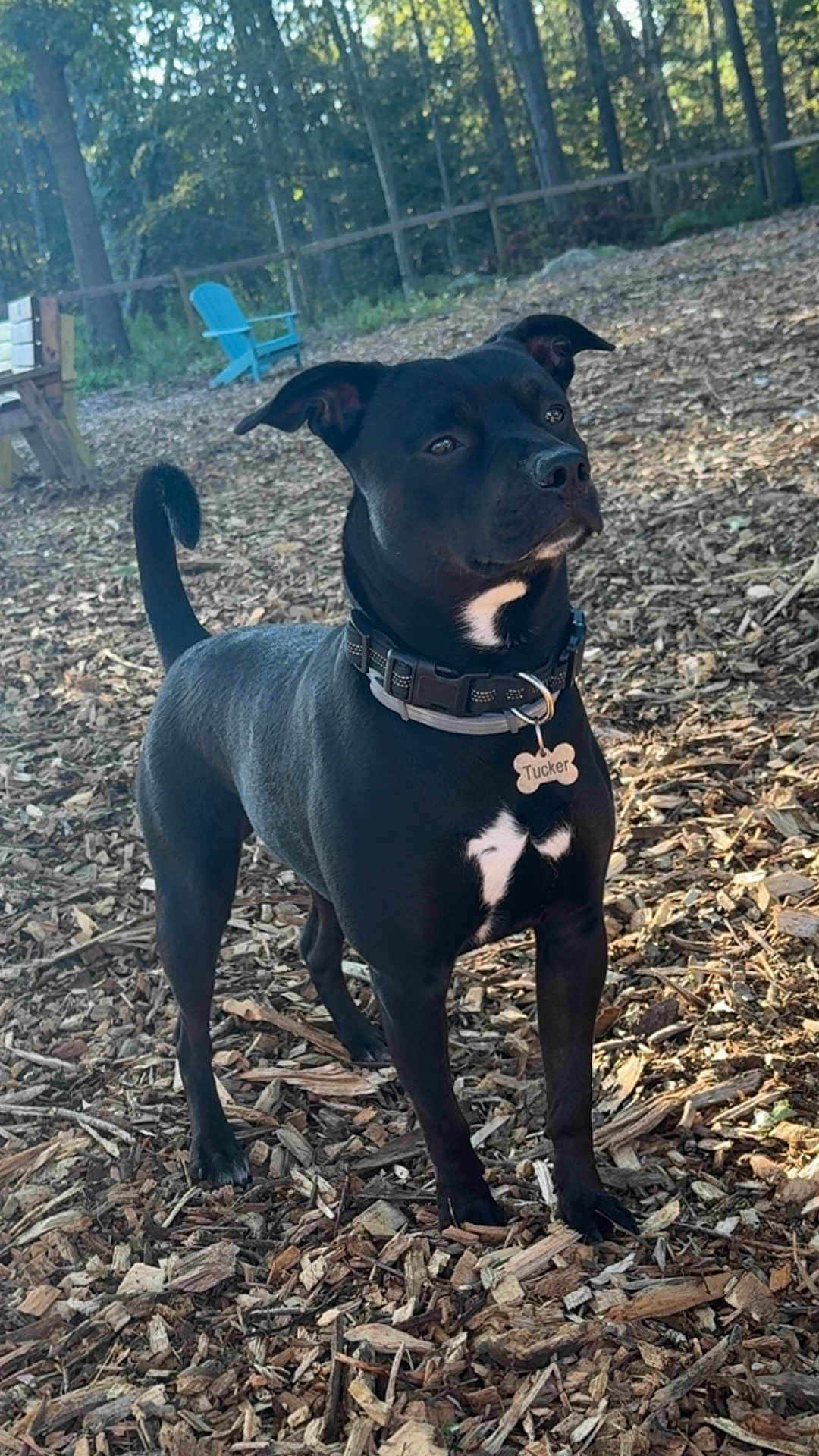 Tucker