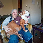 Shelbey Lee joined the competition — help win amazing prizes! woman, dog, chair, indoor, smiling, pet, harness, happy, casual_clothing, living_room, clock, furniture, wooden_floor, person, seated, domestic, cozy, home, relaxed, lap