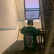 Lloyd joined the competition — help win amazing prizes! graduation, graduate, cap_and_gown, balloons, staircase, window, indoor, celebration, person, back_view, green_gown, decorations, 2023, handrail, steps, lighting, achievement, event, youth, indoors